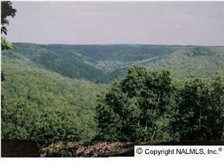 4 Blowing Cave Road - Photo 1