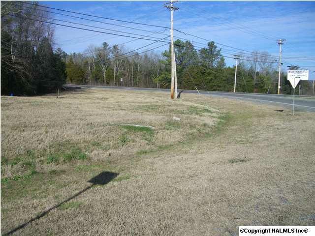 Highway 35 - Photo 1