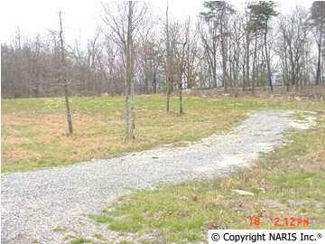 4200 Citadel Rock Road - Photo 1