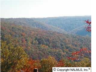 6 Blowing Cave Road - Photo 1
