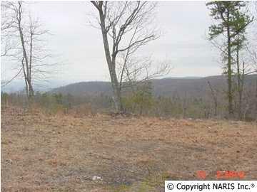 4625 Citadel Rock Road - Photo 1