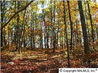 7 Blowing Cave Road - Photo 1