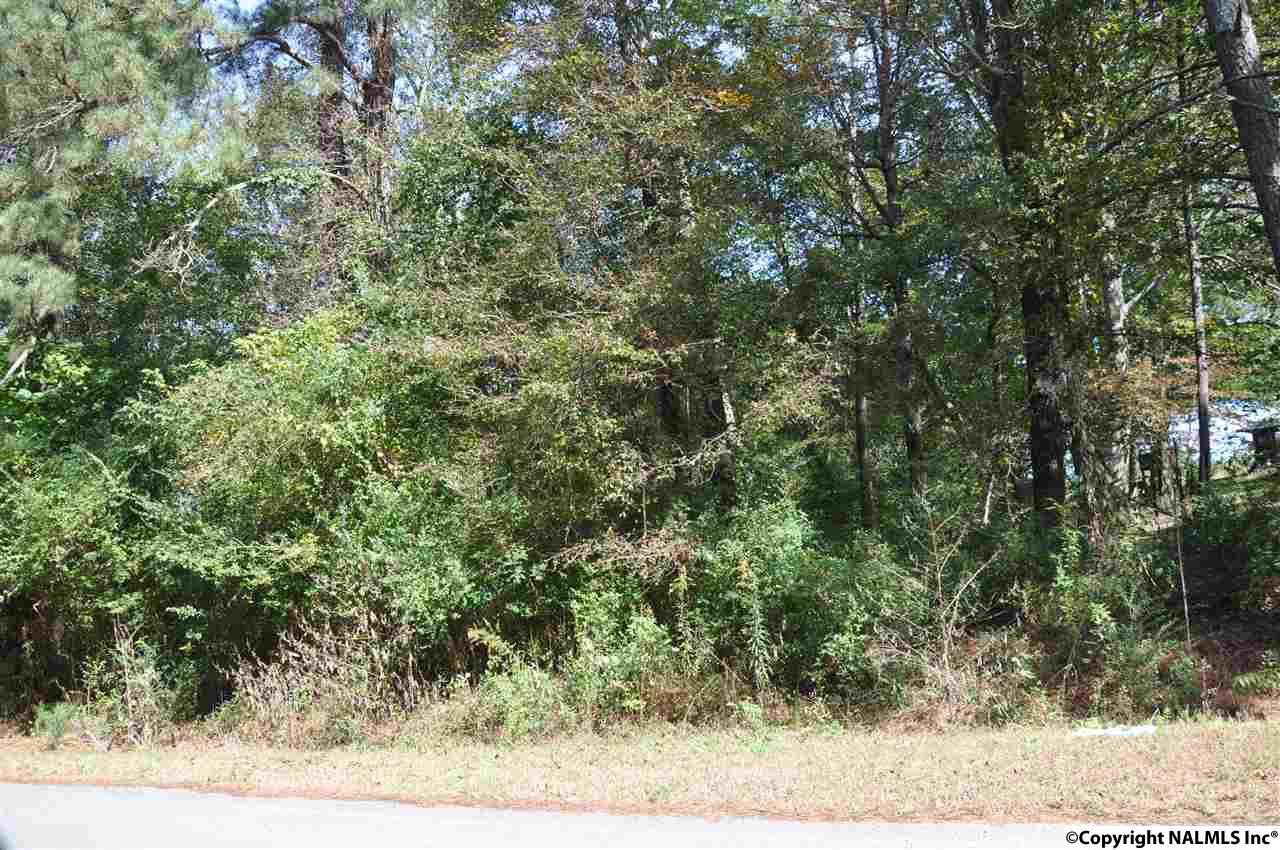 00 County Road 48 - Photo 1
