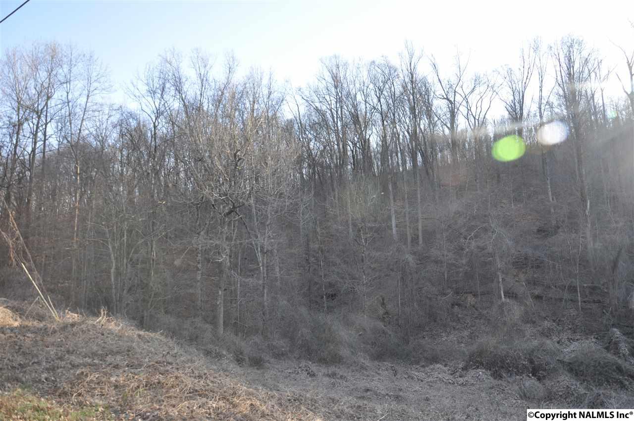0 Nesmith Road - Photo 1