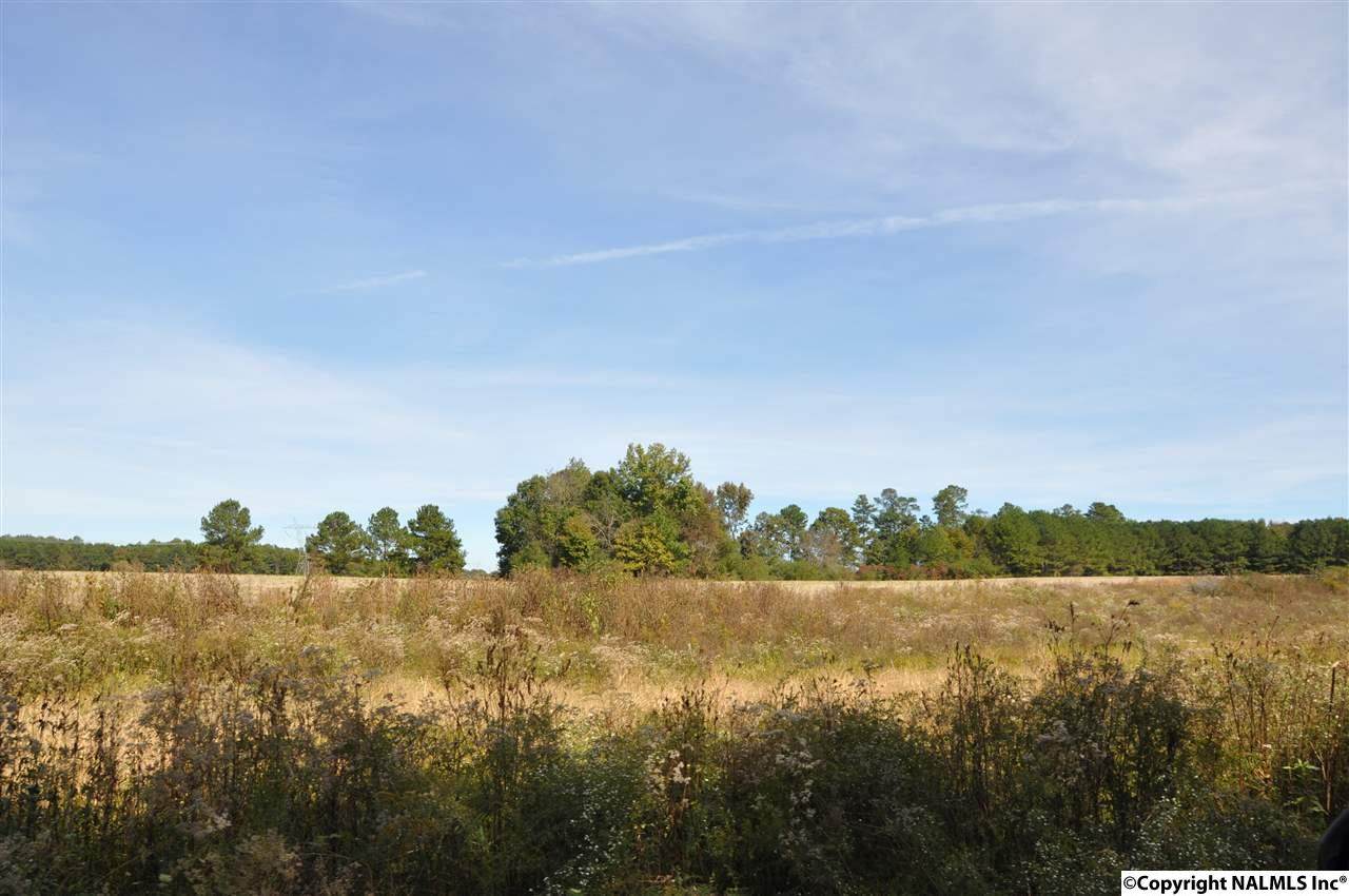 00 County Road 43 - Photo 1 00 County Road 43 - Photo 1