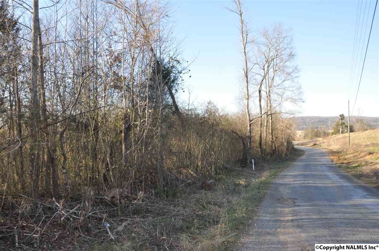0 Nesmith Road - Photo 1