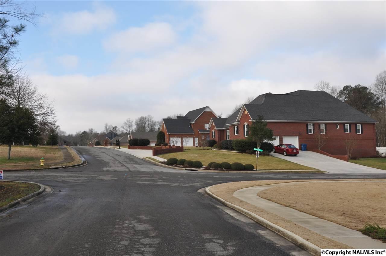 0 Red Oak Lane - Photo 1