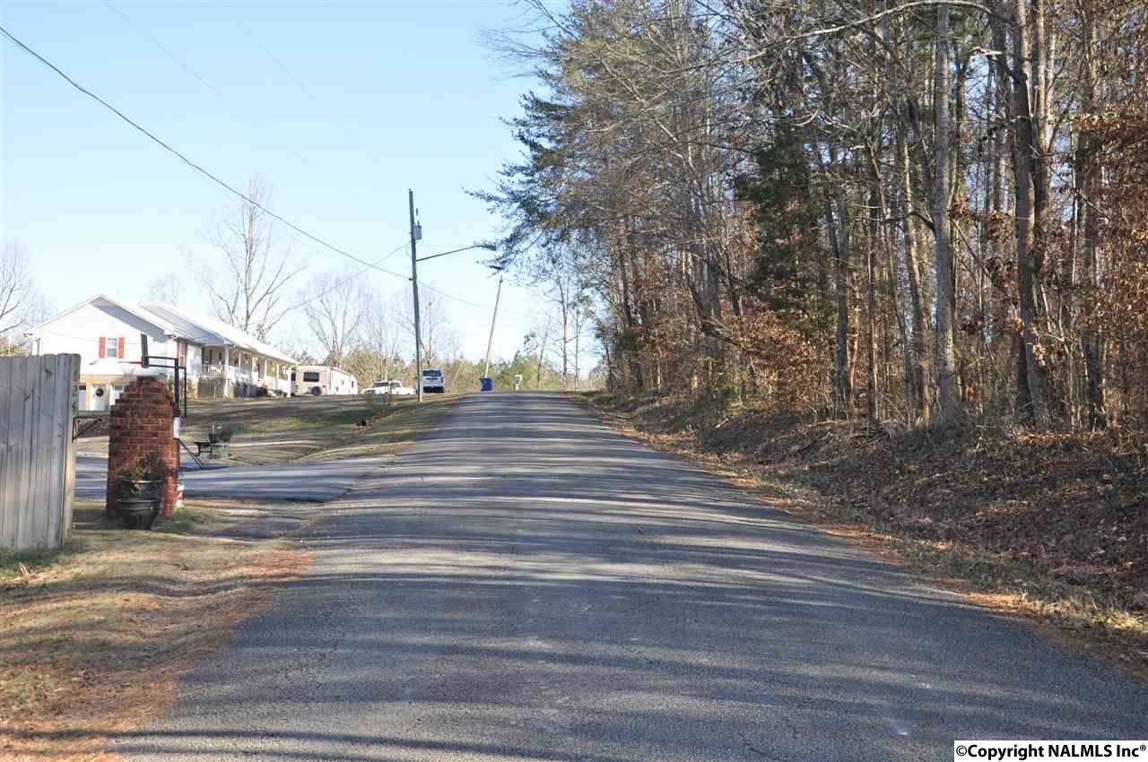 00 Bright Drive - Photo 1