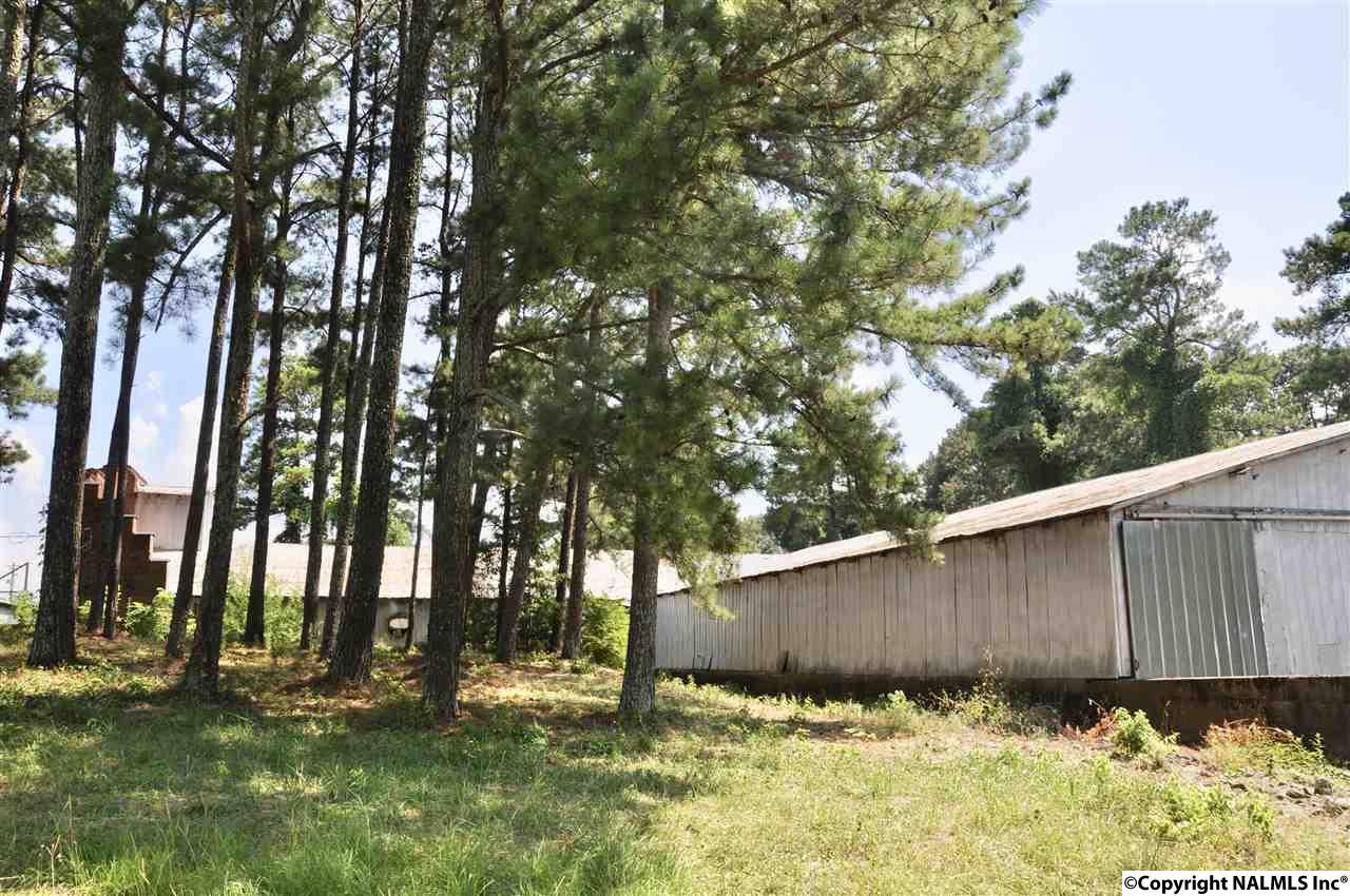 203 2ND STREET - Photo 1