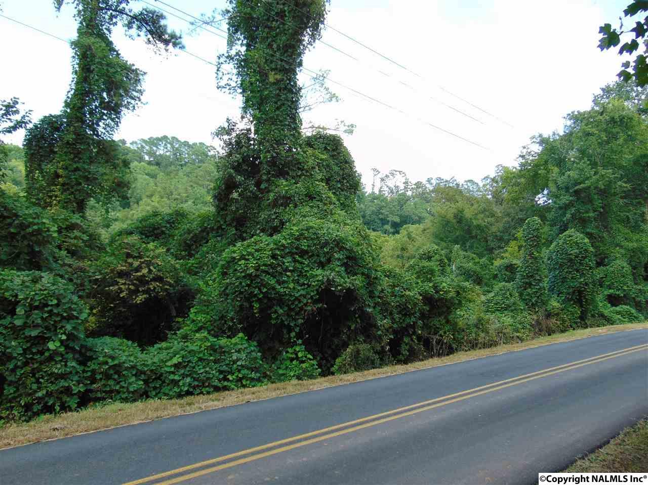 Willow Beach Road - Photo 1