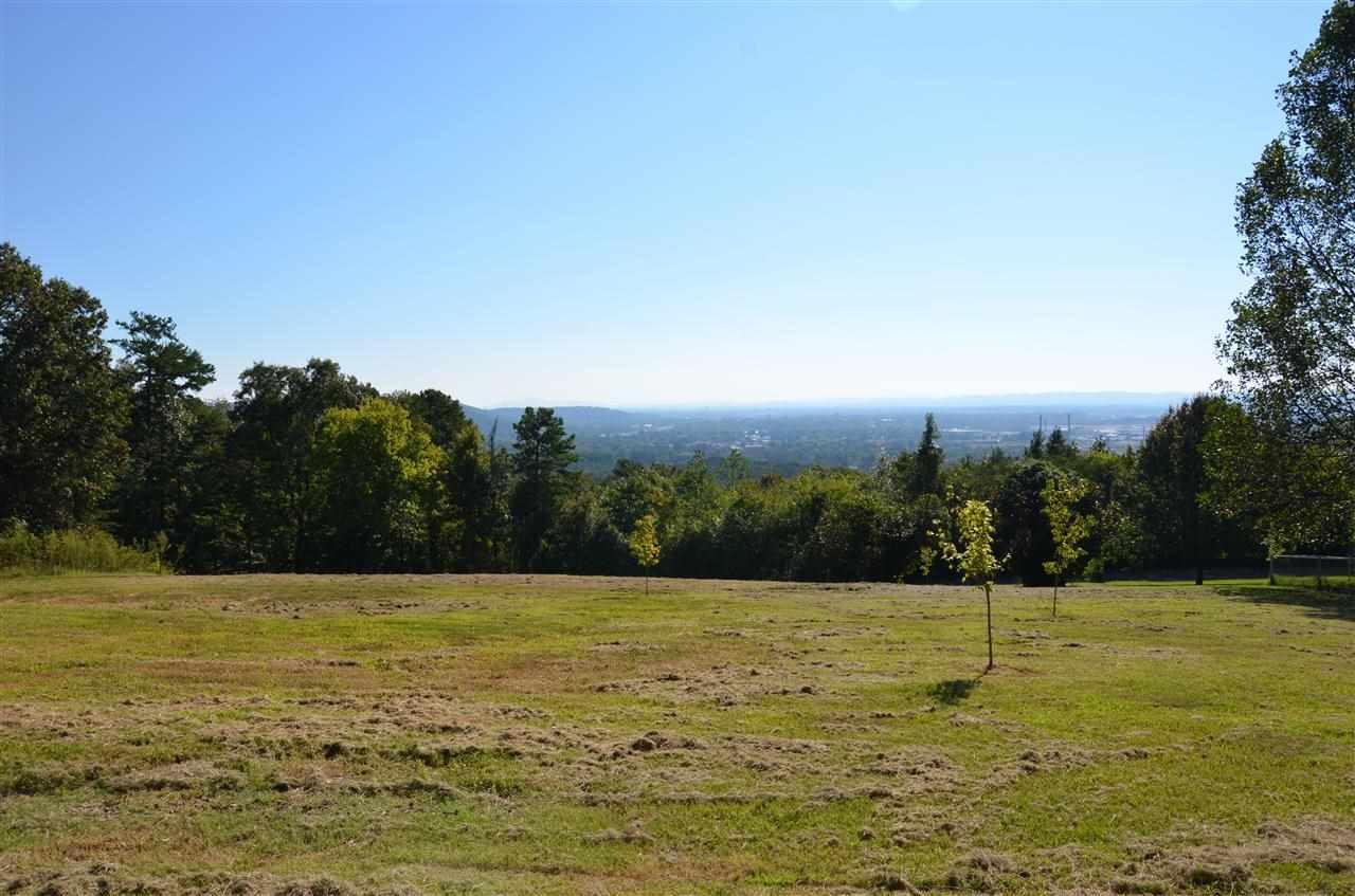 1011 Scenic Drive - Photo 1
