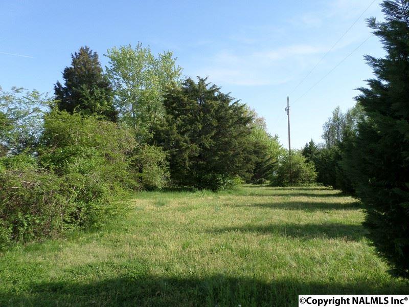 13 Moneys Bend Road - Photo 1
