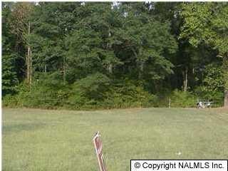 0 Hwy 431 - Photo 1