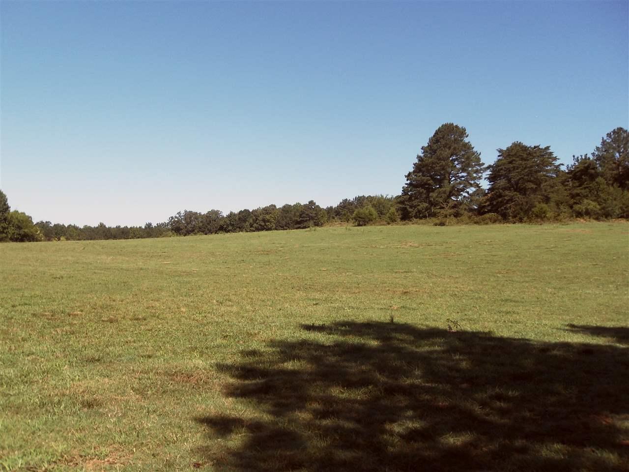 0 County Road 240 - Photo 1
