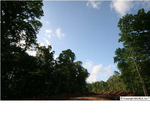 303 Kensington Drive - Photo 1
