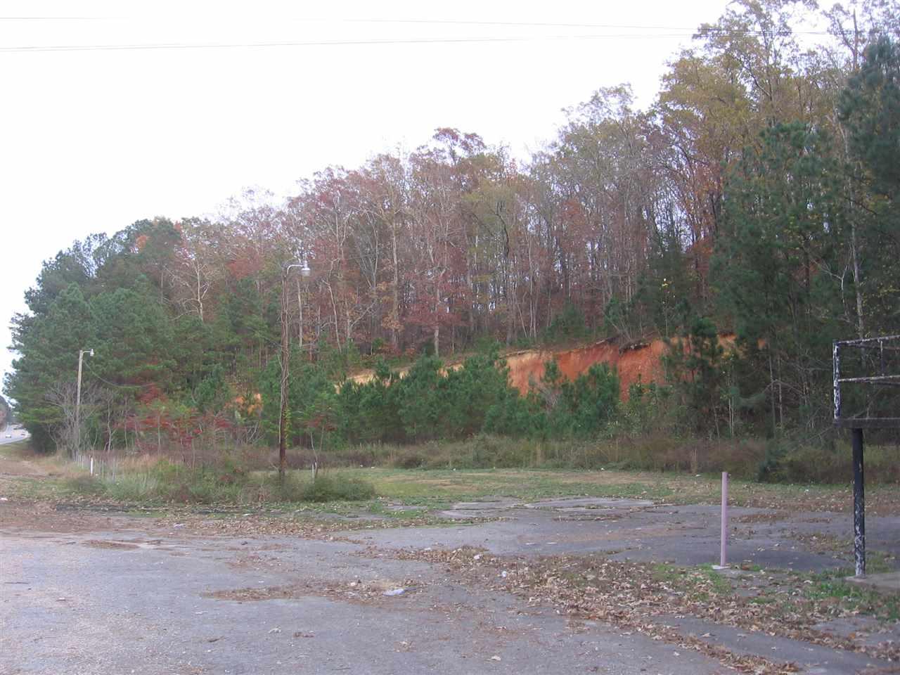 4334 Alabama Hwy 79 - Photo 1