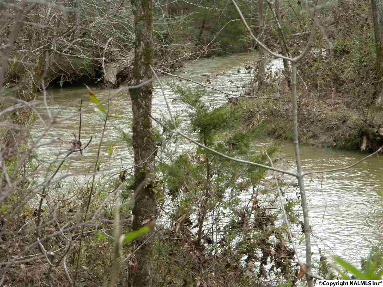 2951 Browder Road - Photo 1
