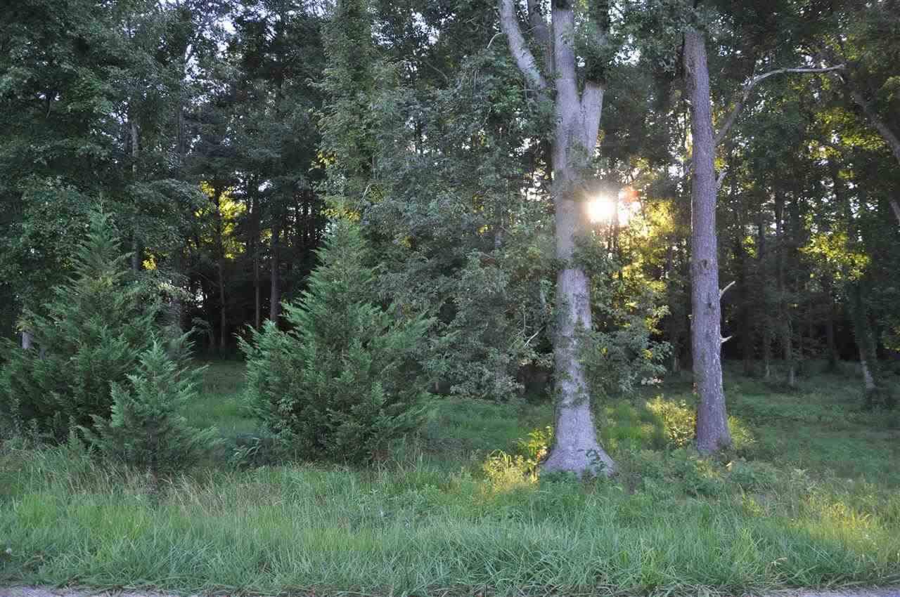 0 Al Highway 69 - Photo 1