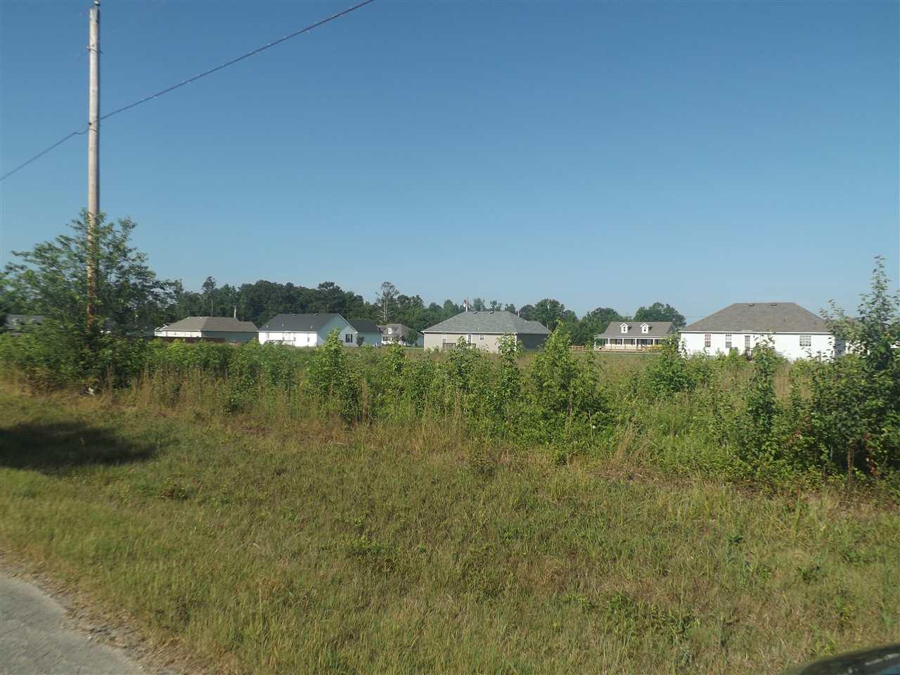 Carter Circle - Photo 1