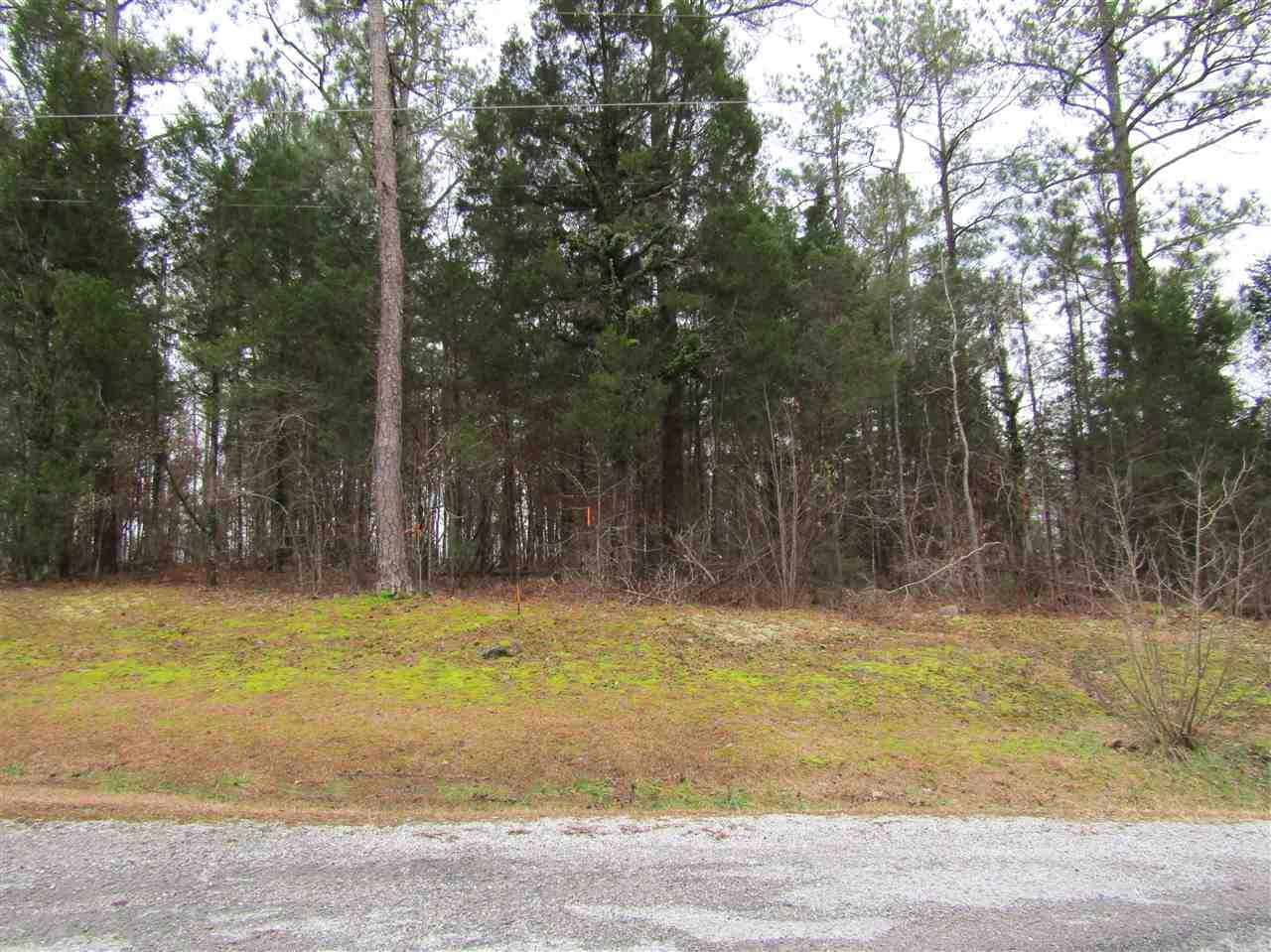 Cedar Drive - Photo 1