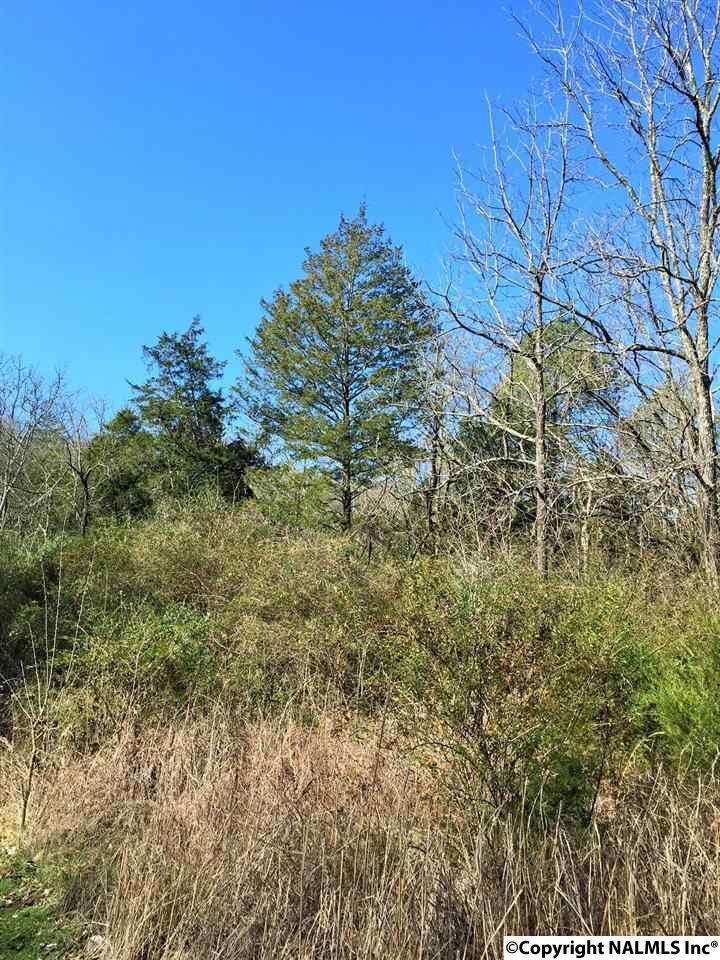 0 Old Mulberry Road - Photo 1