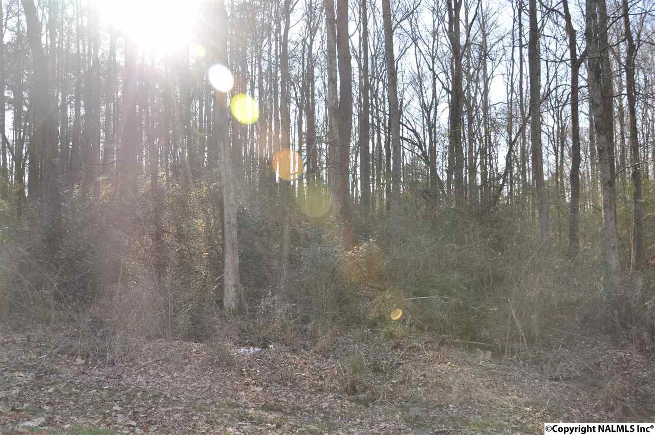 0 8TH AVENUE - Photo 1