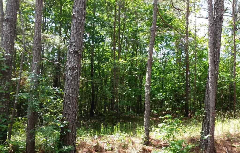 Lot 27 County Road 467 - Photo 1