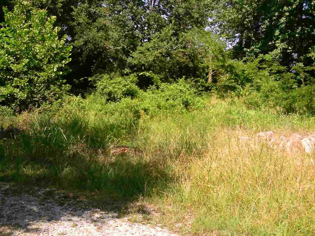 2812 Ray Avenue Sw - Photo 1
