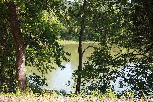 510 County Road 165 - Photo 1