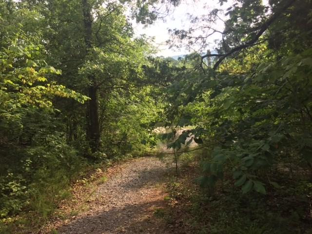 0 Coy Wilborn Lane - Photo 1