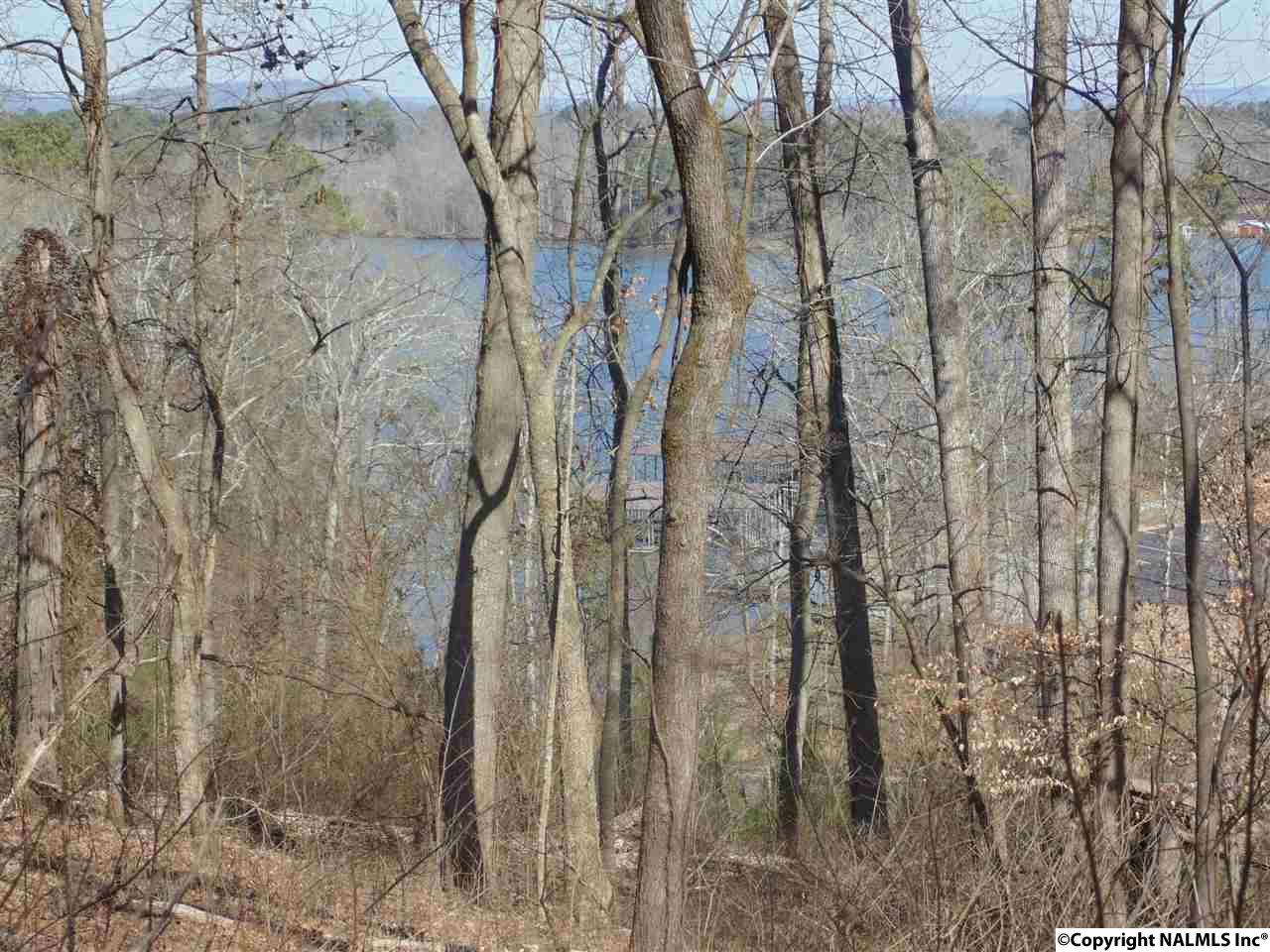 133 Pinnacle Point - Photo 1
