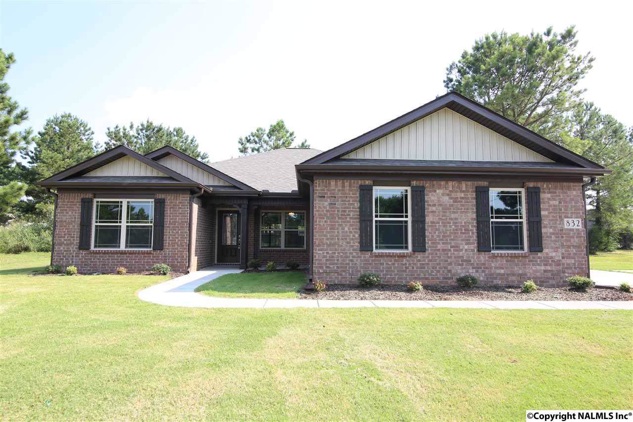 013 Maggie Mance Lane - Photo 1