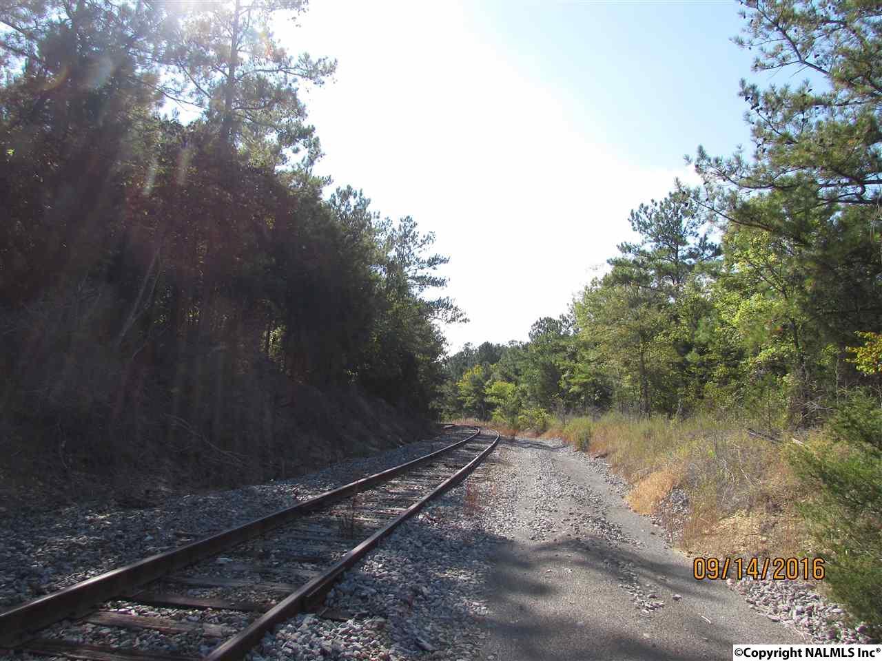 Pleasant Valley Road - Photo 1