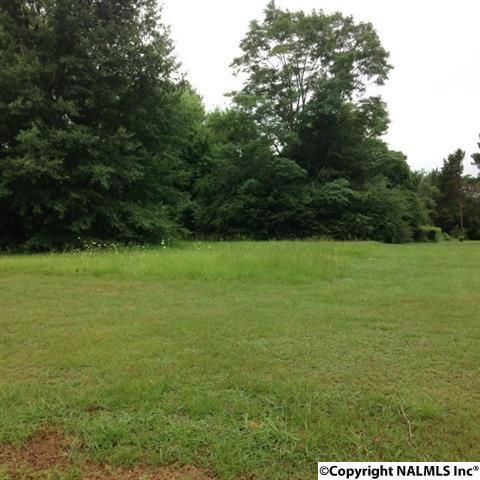 Lane Road - Photo 1