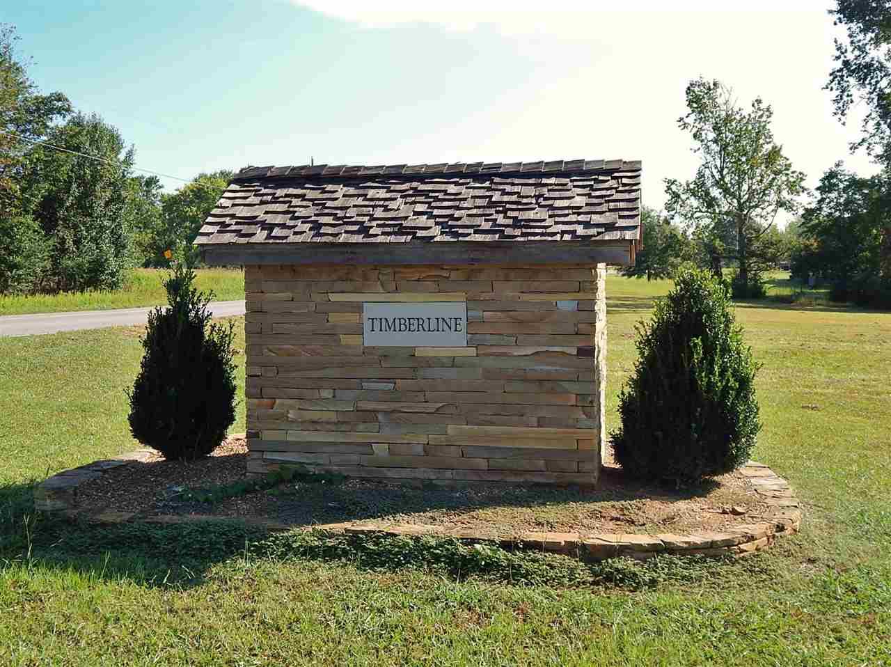 Timberline Drive - Photo 1