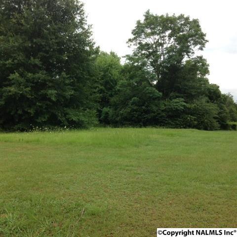 124 Old Vaughn Bridge Road - Photo 1