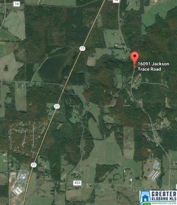 16091 Jackson Trace Road - Photo 1