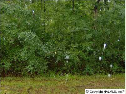 15 Willmon Circle - Photo 1