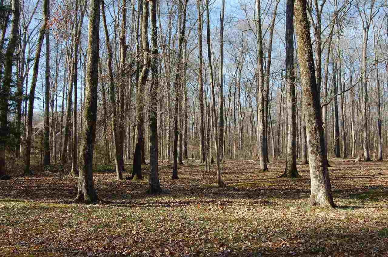 Lot #9 Woodland Terrace - Photo 1