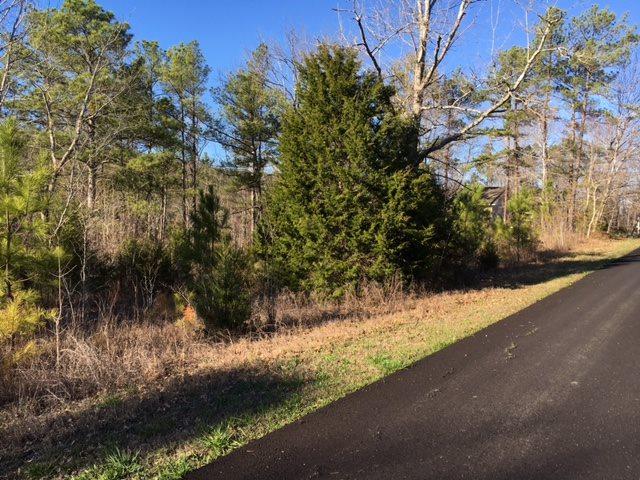 Doughboy Road - Photo 1