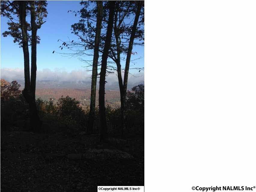 0 County Road 89 - Photo 1