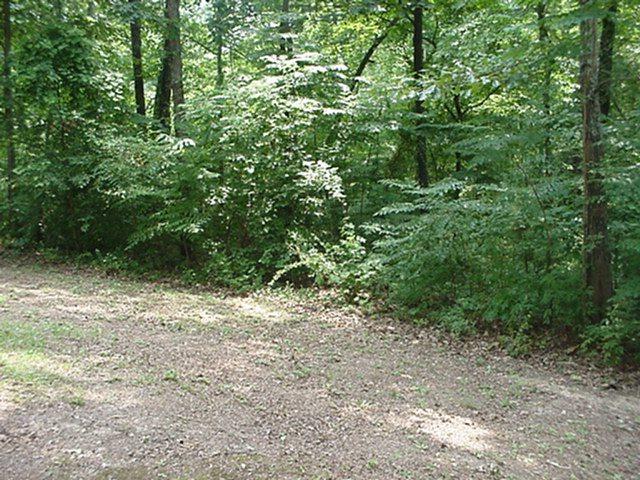 0 Windmill Road - Photo 1