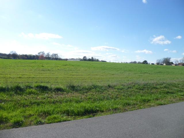 lot 4 Maple Avenue - Photo 1