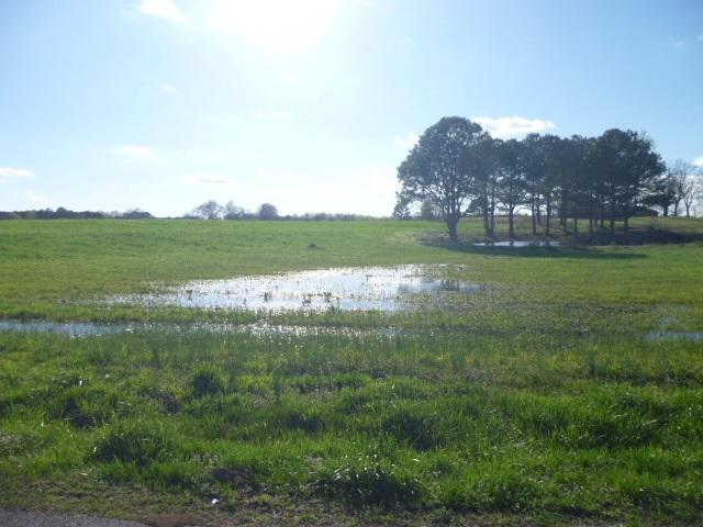 Lot 21 Garrett Street - Photo 1