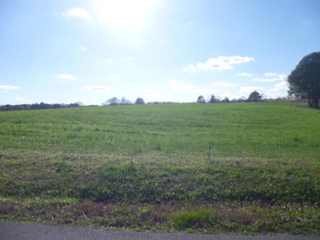 lot 22 Maple Avenue - Photo 1