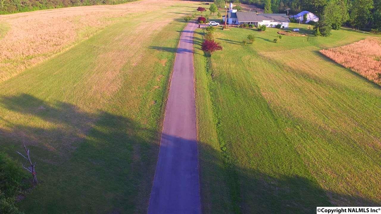 1141 County Road 408 - Photo 1