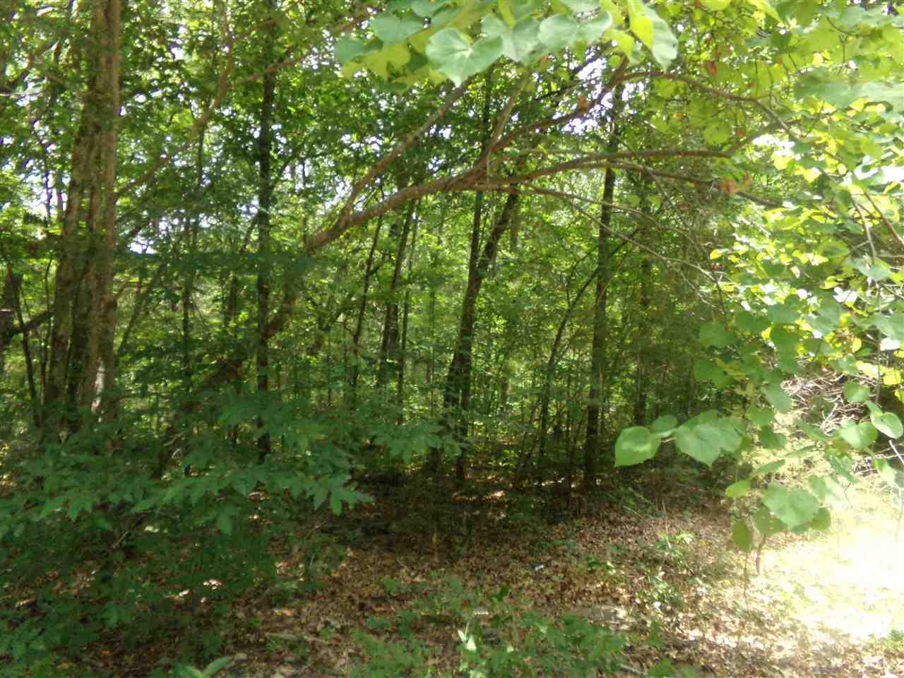 8 Greystone Place - Photo 1