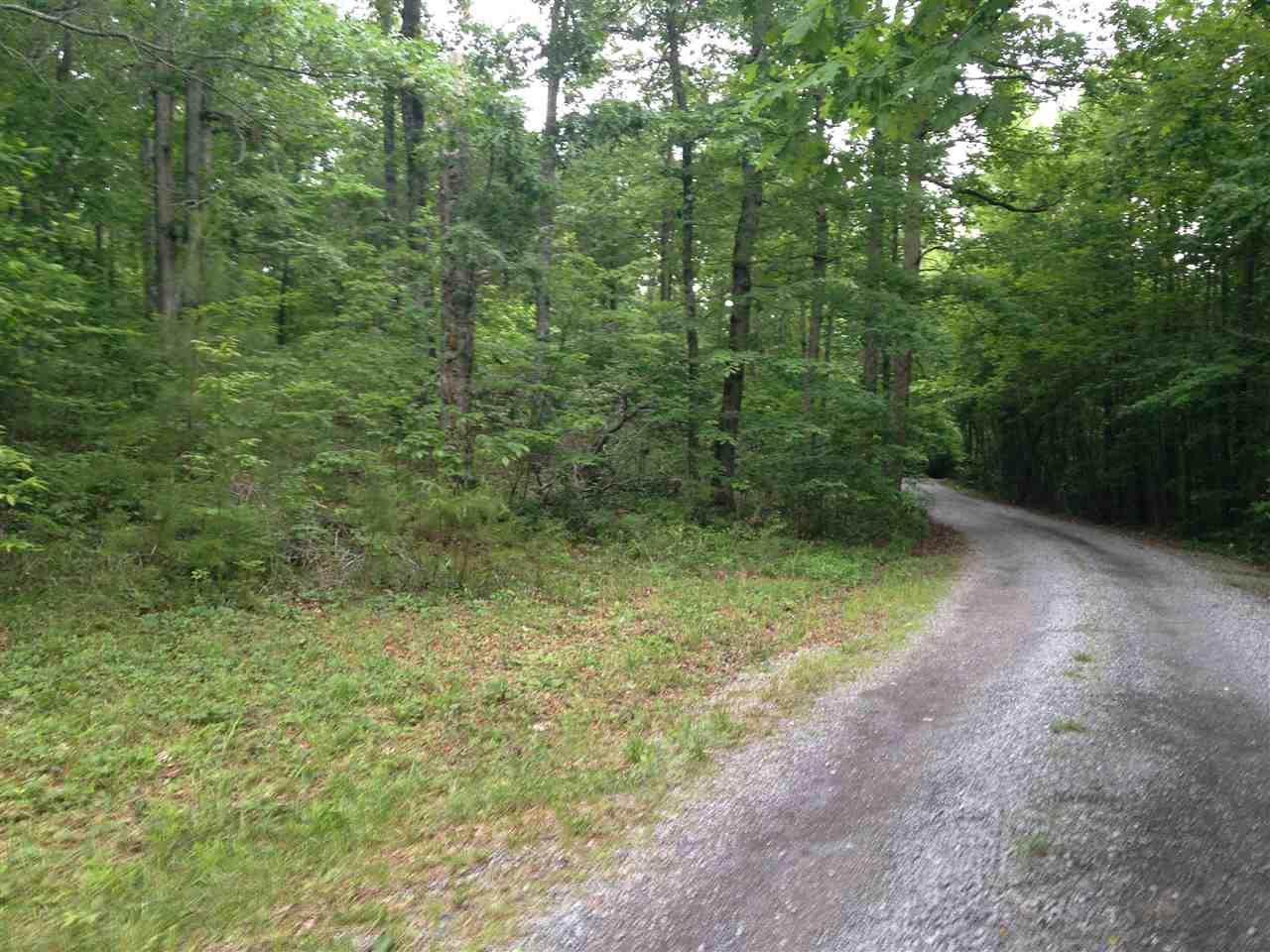 Lot 28 Bear Creek Trail - Photo 1
