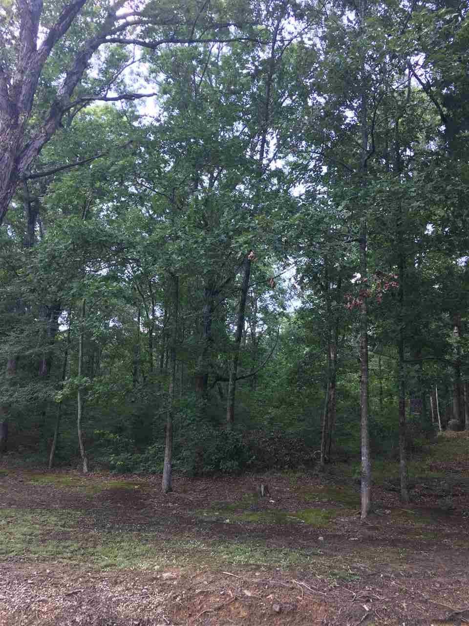 0000 Chapel Hill Road - Photo 1