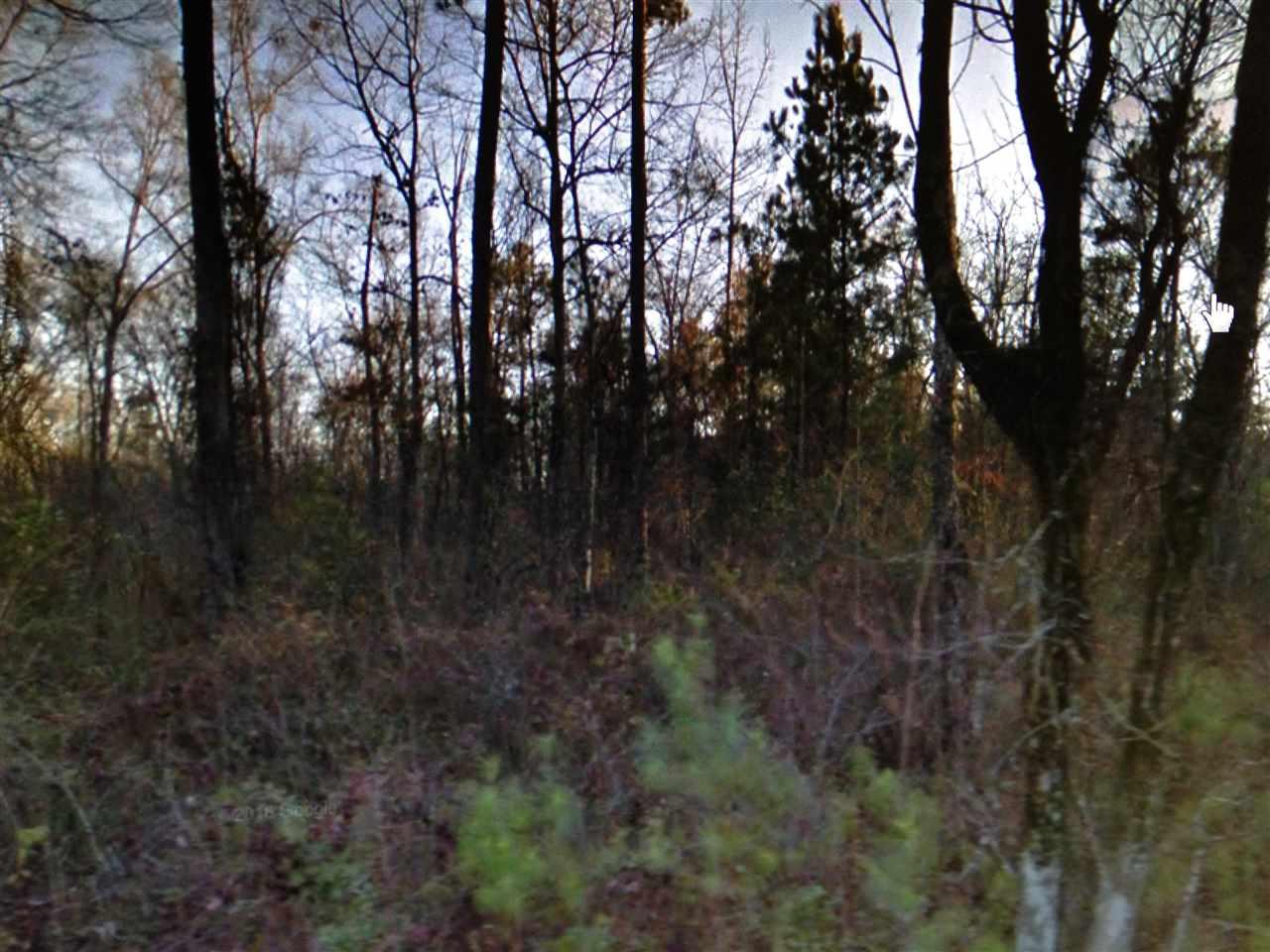 Goldenrod Avenue - Photo 1